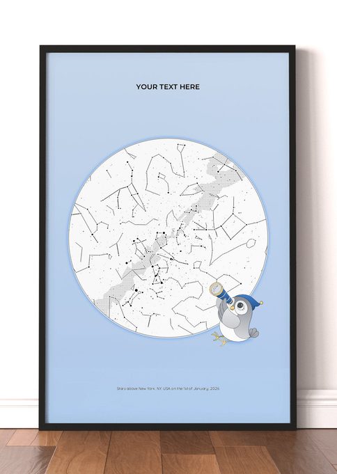 Owl Blue