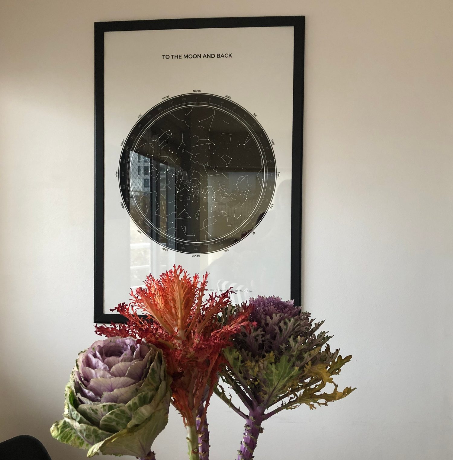 A story by Analía C S at Buenos Aires, CABA, Argentina on the 21st of April, 2018, at 9:00pm